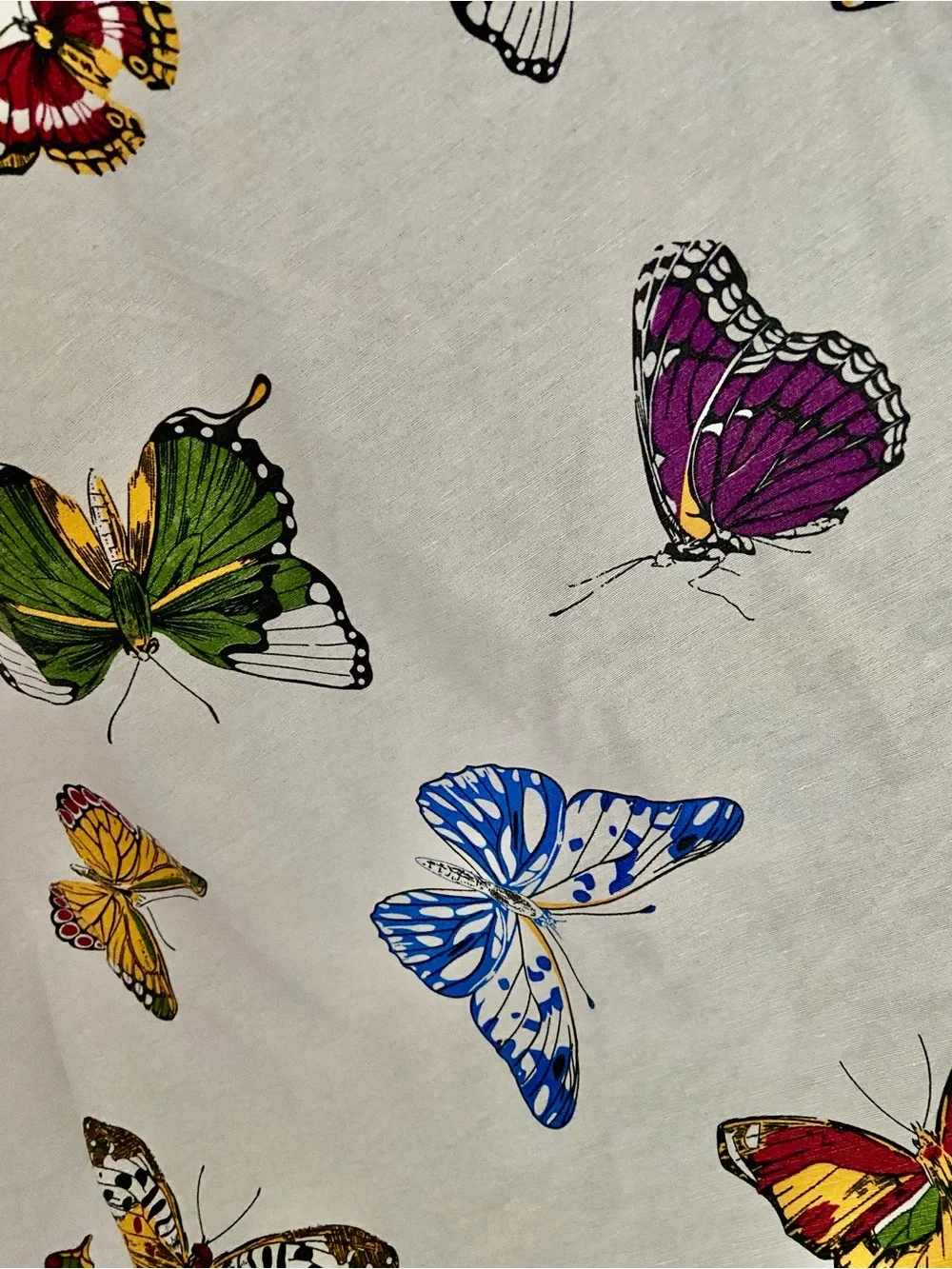 Botanical Butterfly Cream Cloth Tablecloth 55” X 84”